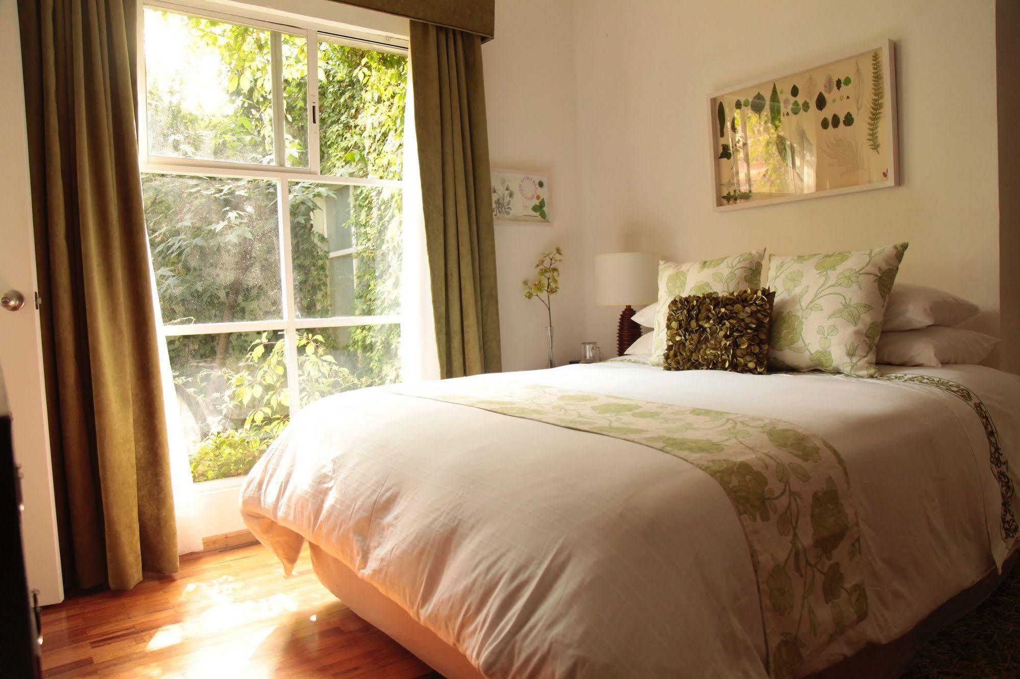 Art Residence San Angel Мехико Экстерьер фото